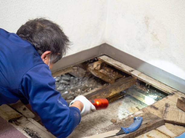 Water Damage Restoration in Hilltop, MN