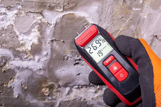 Best Mold Testing  in Hilltop, MN