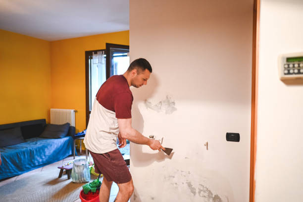 Best Same-Day Mold Removal  in Hilltop, MN